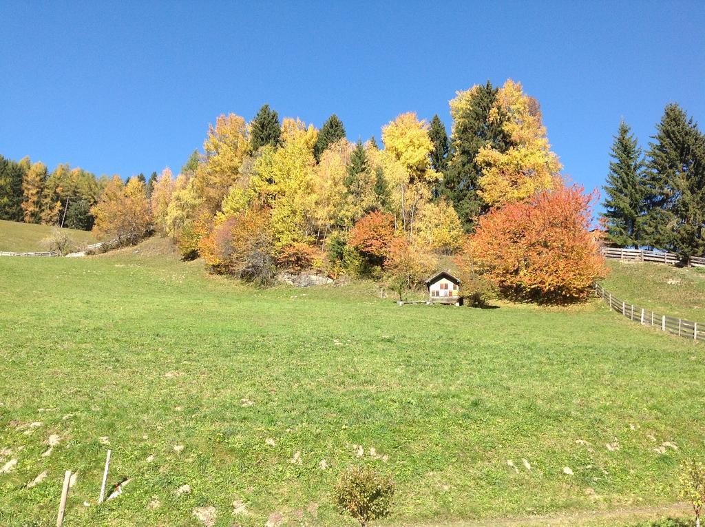 Berggasthaus Agritur Moserhof 브라이에스 외부 사진